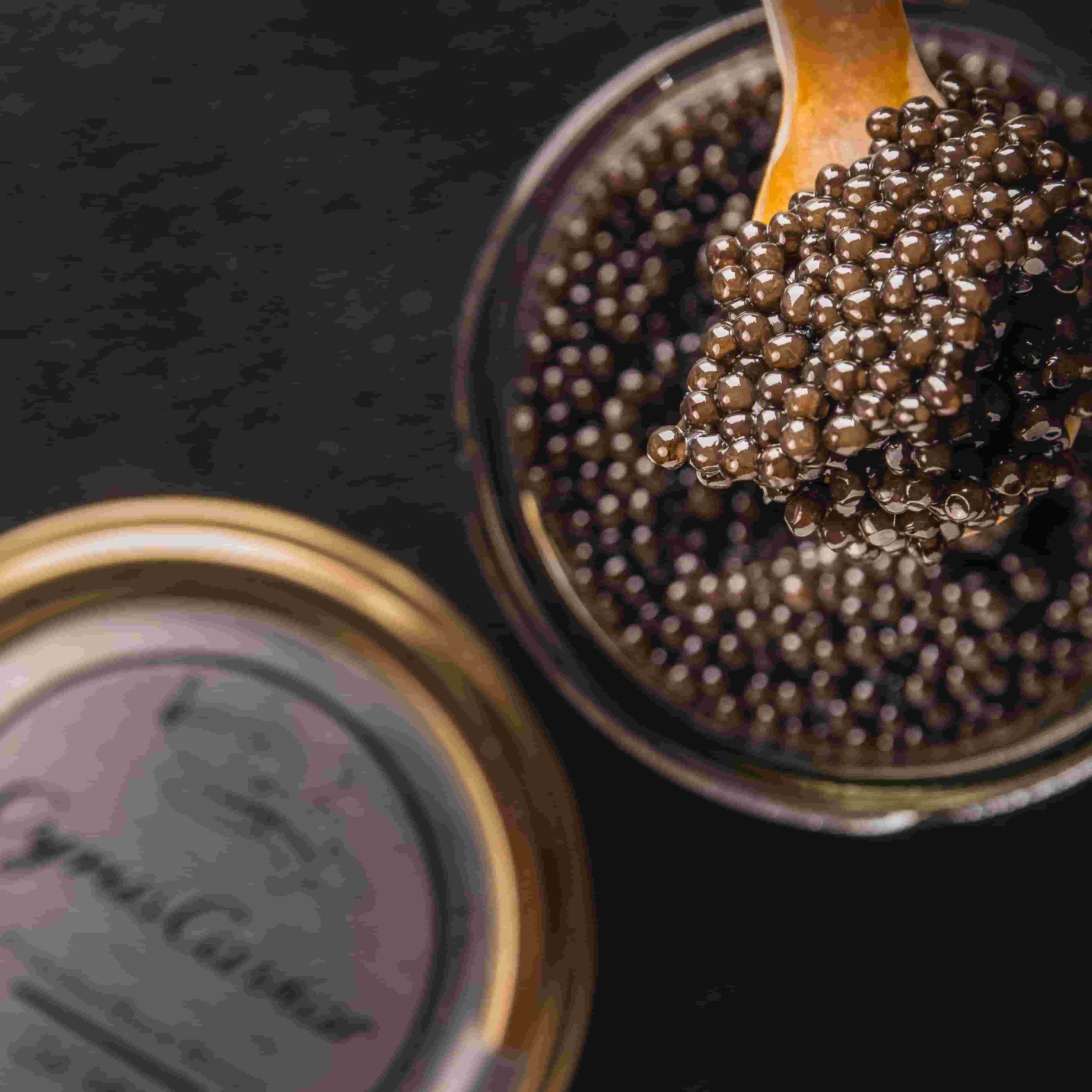 خاویار پریمیوم رویال بری ( ۲۰ گرمی)